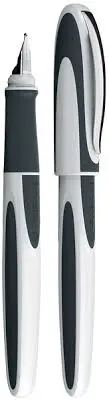 Schneider Fountain Pen FH Ray 